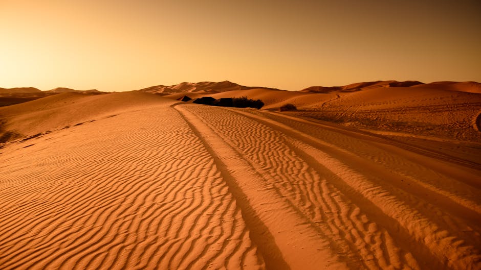 Serene desert landscape with golden sand dunes at sunset